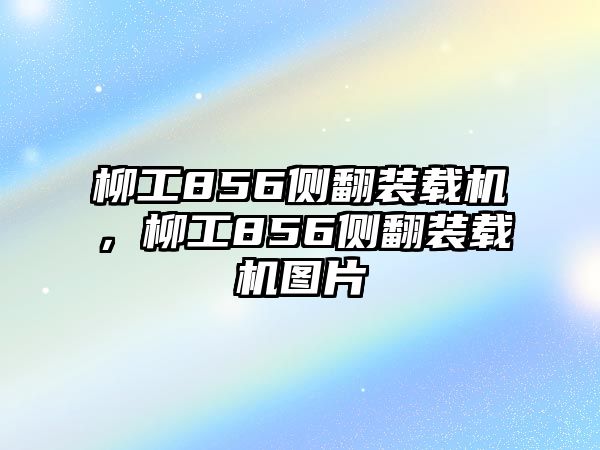 柳工856側(cè)翻裝載機，柳工856側(cè)翻裝載機圖片