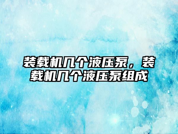 裝載機幾個液壓泵，裝載機幾個液壓泵組成