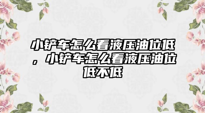 小鏟車怎么看液壓油位低，小鏟車怎么看液壓油位低不低