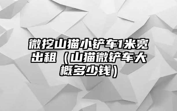 微挖山貓小鏟車1米寬出租（山貓微鏟車大概多少錢）