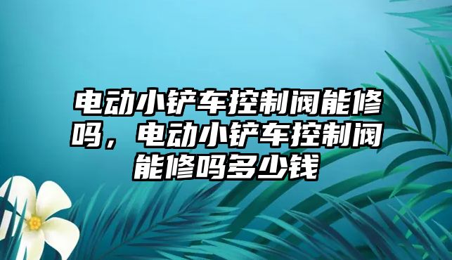 電動(dòng)小鏟車控制閥能修嗎，電動(dòng)小鏟車控制閥能修嗎多少錢