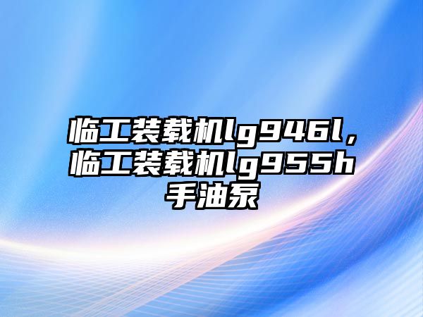 臨工裝載機lg946l，臨工裝載機lg955h手油泵