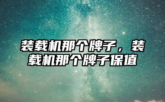 裝載機那個牌子，裝載機那個牌子保值