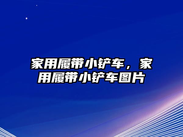 家用履帶小鏟車，家用履帶小鏟車圖片