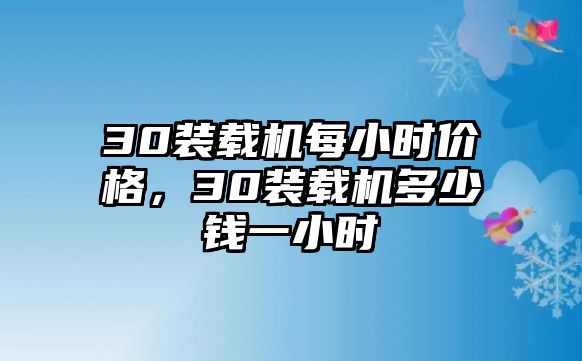 30裝載機每小時價格，30裝載機多少錢一小時