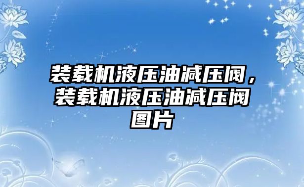 裝載機液壓油減壓閥，裝載機液壓油減壓閥圖片