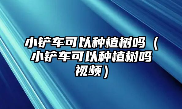 小鏟車可以種植樹嗎（小鏟車可以種植樹嗎視頻）