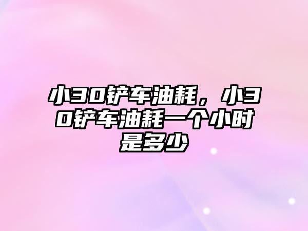 小30鏟車油耗，小30鏟車油耗一個小時是多少