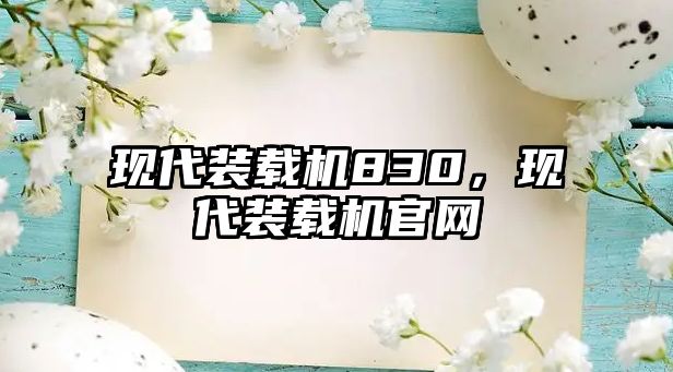 現代裝載機830，現代裝載機官網