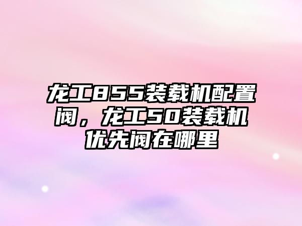 龍工855裝載機配置閥，龍工50裝載機優先閥在哪里