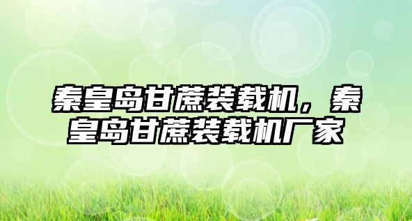 秦皇島甘蔗裝載機，秦皇島甘蔗裝載機廠家