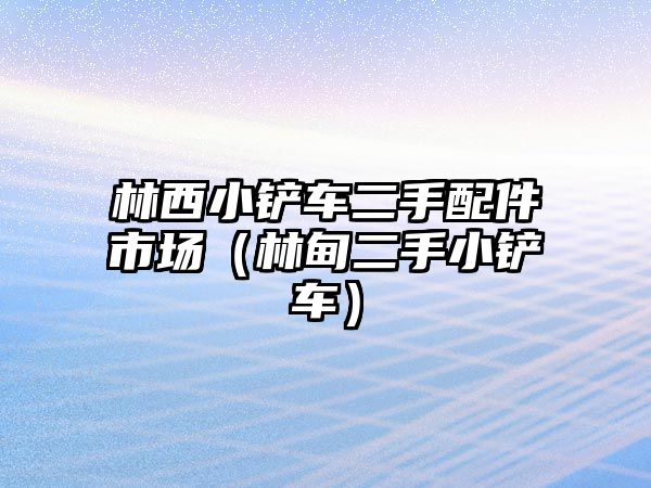 林西小鏟車二手配件市場（林甸二手小鏟車）