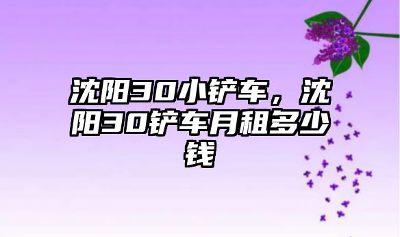 沈陽30小鏟車，沈陽30鏟車月租多少錢