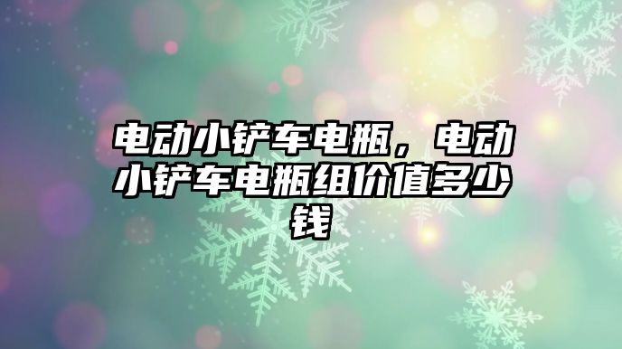 電動小鏟車電瓶，電動小鏟車電瓶組價值多少錢