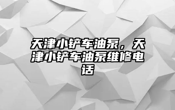 天津小鏟車油泵，天津小鏟車油泵維修電話