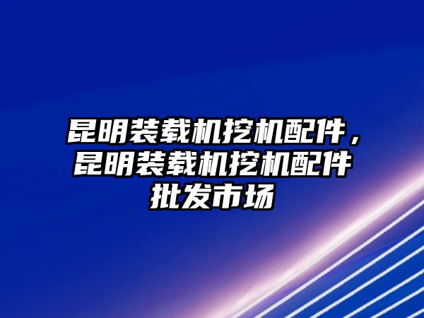 昆明裝載機(jī)挖機(jī)配件，昆明裝載機(jī)挖機(jī)配件批發(fā)市場