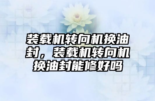 裝載機轉向機換油封，裝載機轉向機換油封能修好嗎