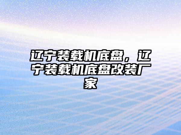 遼寧裝載機底盤，遼寧裝載機底盤改裝廠家