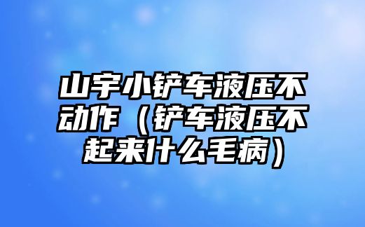 山宇小鏟車液壓不動(dòng)作（鏟車液壓不起來什么毛病）