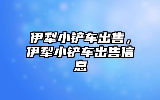 伊犁小鏟車出售，伊犁小鏟車出售信息