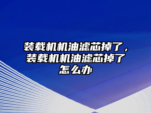 裝載機機油濾芯掉了，裝載機機油濾芯掉了怎么辦