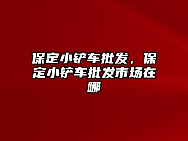 保定小鏟車批發，保定小鏟車批發市場在哪