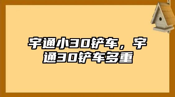 宇通小30鏟車，宇通30鏟車多重