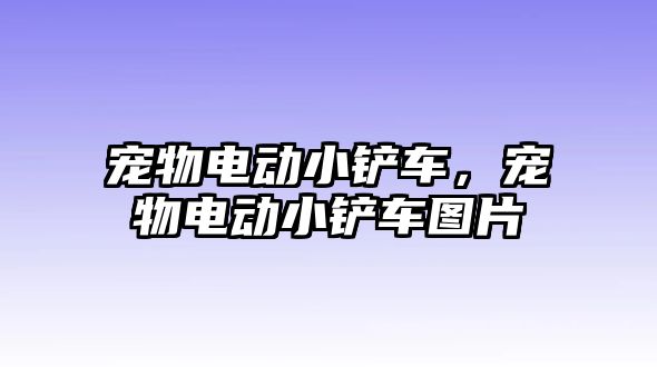 寵物電動小鏟車，寵物電動小鏟車圖片