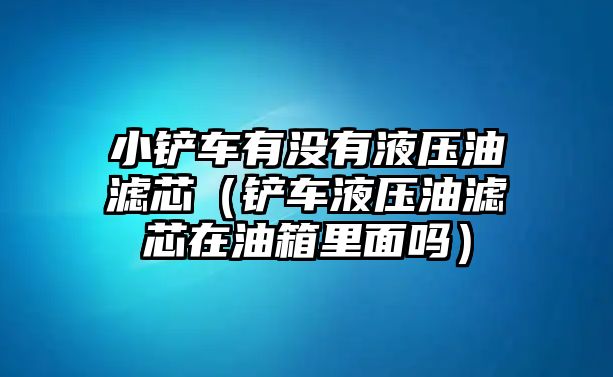 小鏟車有沒有液壓油濾芯（鏟車液壓油濾芯在油箱里面嗎）