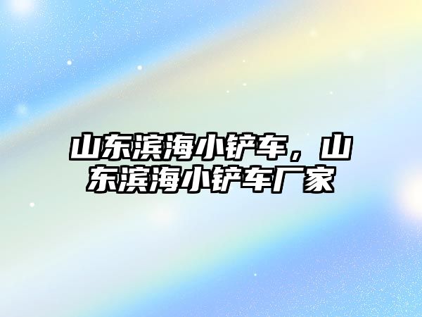 山東濱海小鏟車，山東濱海小鏟車廠家