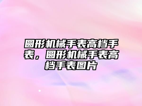 圓形機械手表高檔手表，圓形機械手表高檔手表圖片