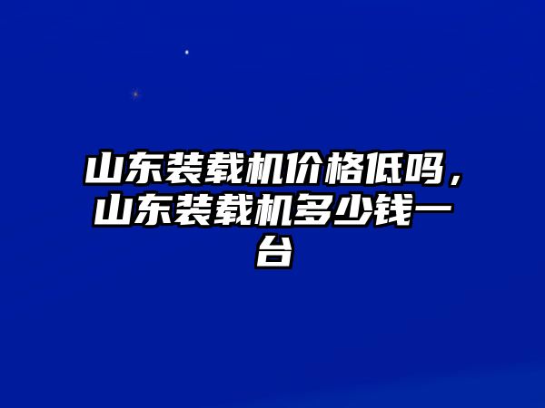 山東裝載機價格低嗎，山東裝載機多少錢一臺