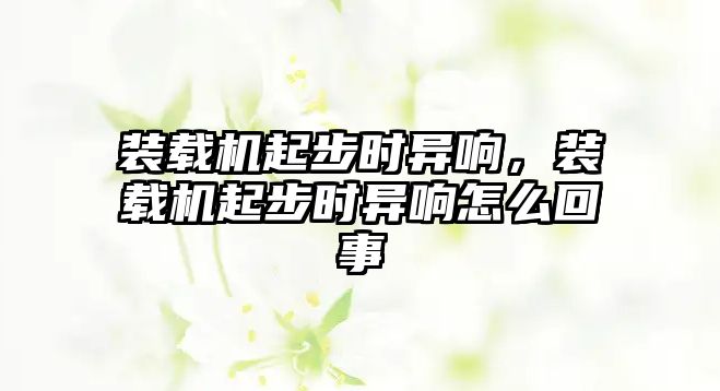 裝載機起步時異響，裝載機起步時異響怎么回事