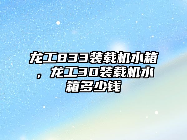 龍工833裝載機(jī)水箱，龍工30裝載機(jī)水箱多少錢