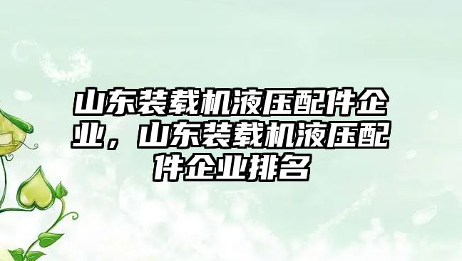 山東裝載機(jī)液壓配件企業(yè)，山東裝載機(jī)液壓配件企業(yè)排名