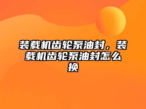 裝載機齒輪泵油封，裝載機齒輪泵油封怎么換