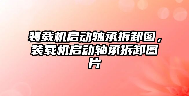 裝載機啟動軸承拆卸圖，裝載機啟動軸承拆卸圖片