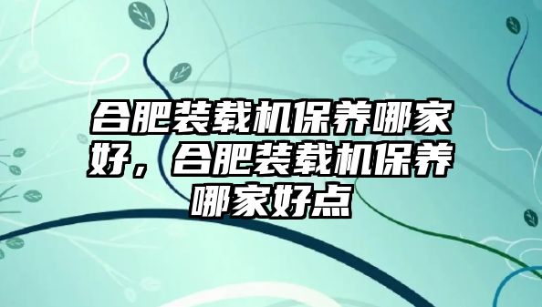 合肥裝載機保養哪家好，合肥裝載機保養哪家好點