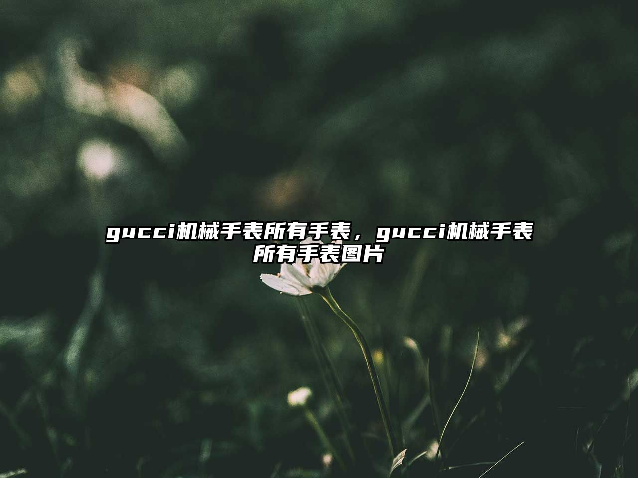 gucci機械手表所有手表，gucci機械手表所有手表圖片