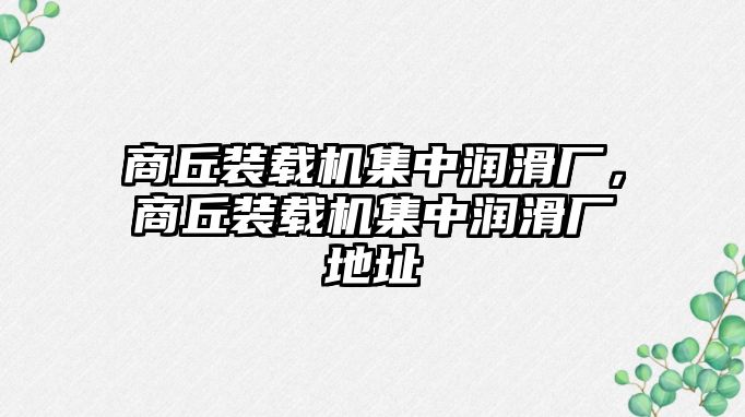 商丘裝載機集中潤滑廠，商丘裝載機集中潤滑廠地址