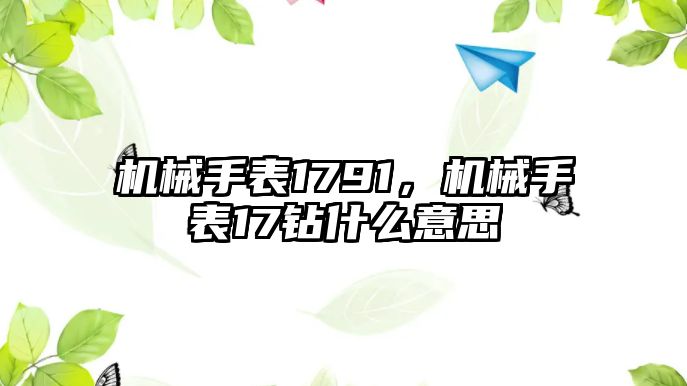 機械手表1791，機械手表17鉆什么意思