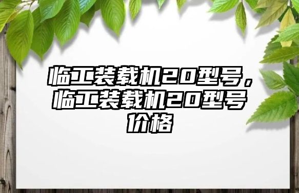 臨工裝載機20型號，臨工裝載機20型號價格