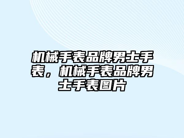 機械手表品牌男士手表，機械手表品牌男士手表圖片