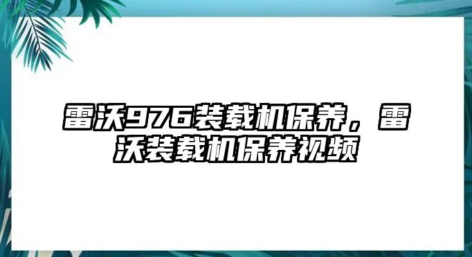 雷沃976裝載機保養，雷沃裝載機保養視頻