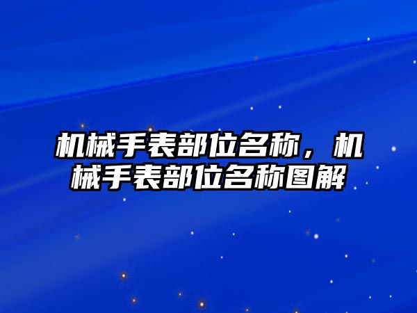 機械手表部位名稱，機械手表部位名稱圖解