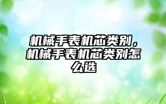 機械手表機芯類別，機械手表機芯類別怎么選