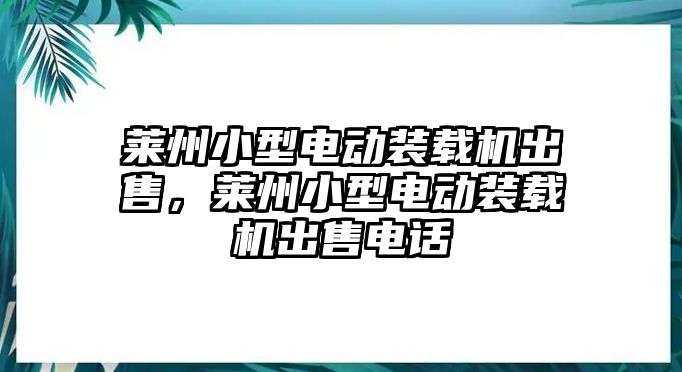 萊州小型電動裝載機出售，萊州小型電動裝載機出售電話