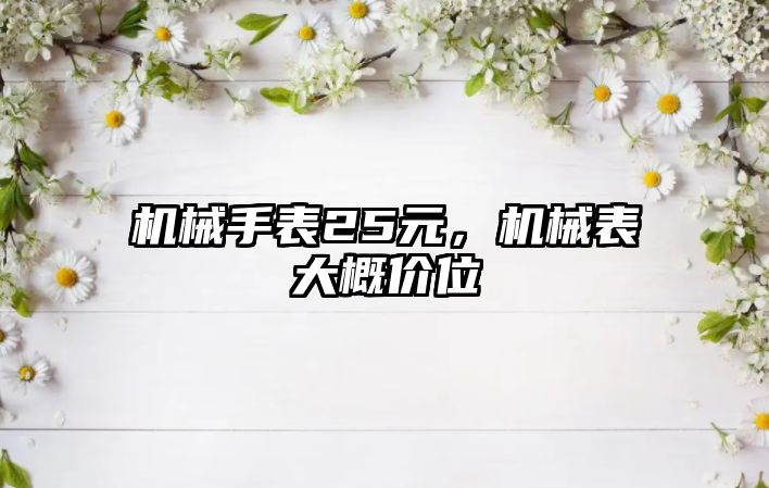 機械手表25元，機械表大概價位