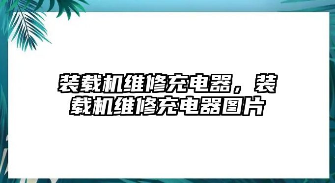 裝載機維修充電器，裝載機維修充電器圖片