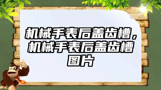 機械手表后蓋齒槽，機械手表后蓋齒槽圖片